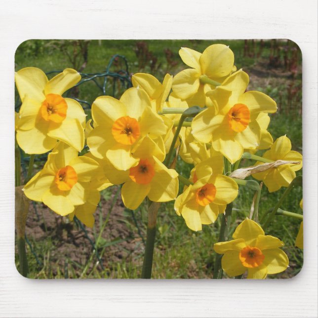 Mousepad Suporte do mouse (Frente)