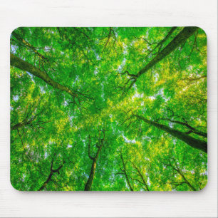 Mousepad Suporte do mouse