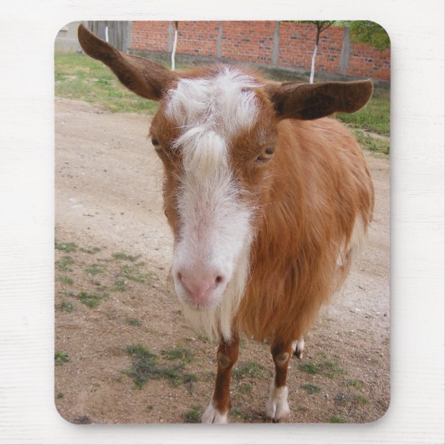 Mousepad Suporte do mouse (Frente)