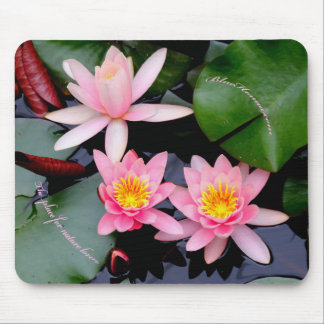 Mousepad Suporte para mouse