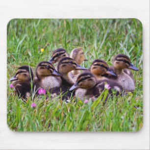 Mousepad Suporte para Mouse Pata de Filhote de Pato