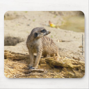 Mousepad Suricata