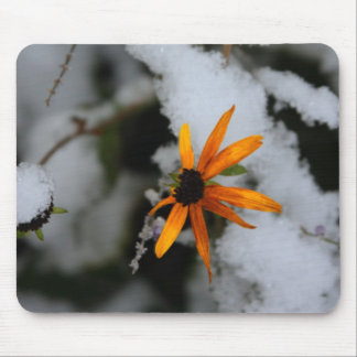 Mousepad susan de olhos pretos na primeira neve