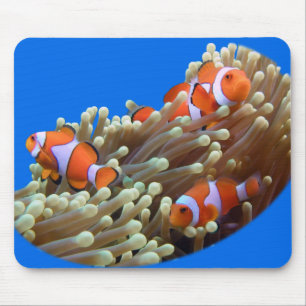 Mousepad Suspensão para fora com peixes do palhaço