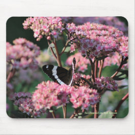 Mousepad Swallowtail em Sedum vermelho