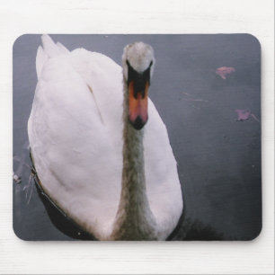 Mousepad Swan