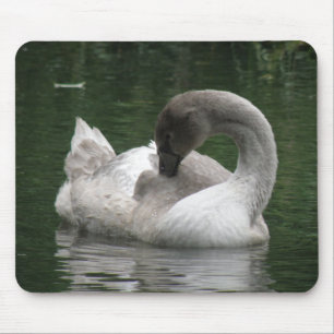 Mousepad Swan Sonolento