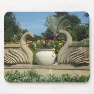 Mousepad Swans Guardando Hollis Gardens