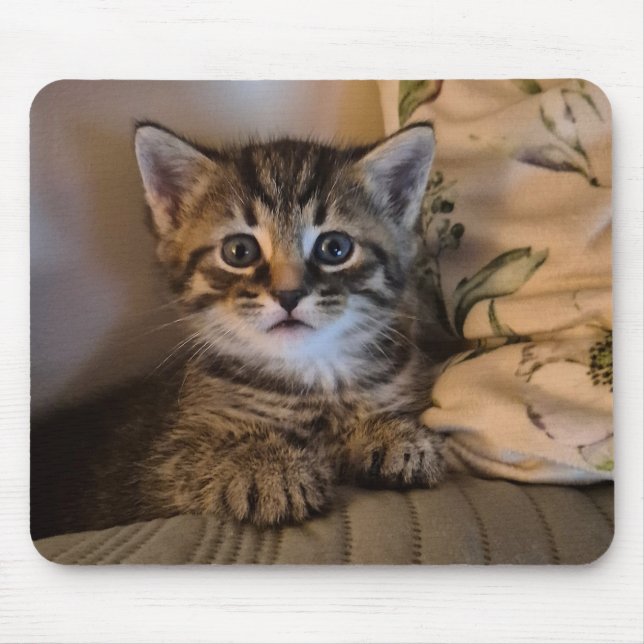 Mousepad Sweet kitty (Frente)