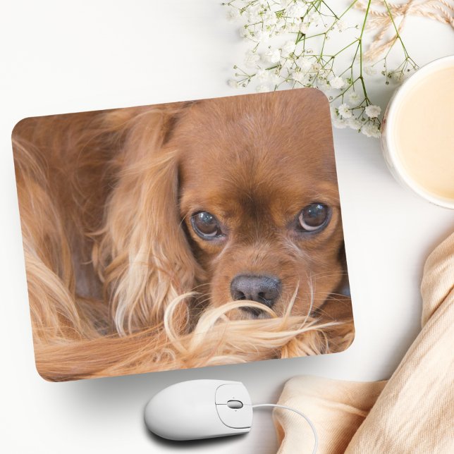 Mousepad Sweet Ruby Cavalier King Charles Spaniel (Charming King Charles Spaniel Mousepad: Elevate Your Workspace with Adoration.)