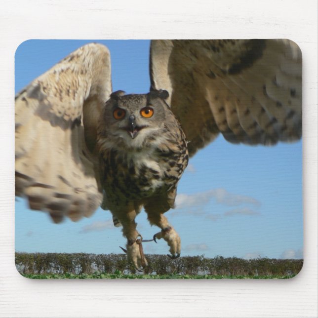 Mousepad Swooping da coruja de Eagle (Frente)