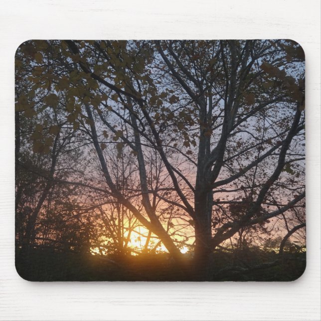 Mousepad Sycamore Sunrise (Frente)