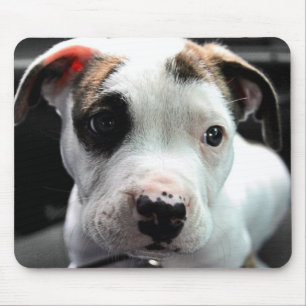Mousepad T-Osso do pitbull do filhote de cachorro