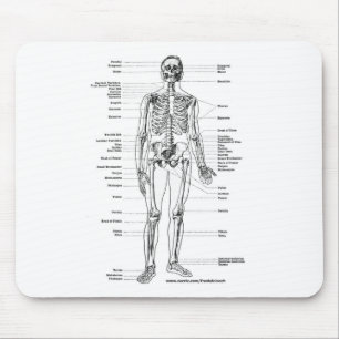 MOUSEPAD T-SHIRT E PRESENTES DE ESQUELETO DA ANATOMIA
