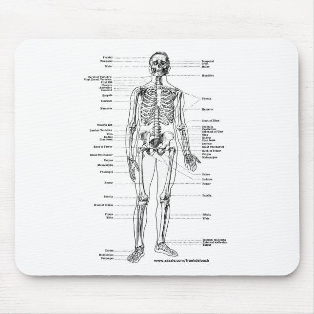 MOUSEPAD T-SHIRT E PRESENTES DE ESQUELETO DA ANATOMIA (Frente)