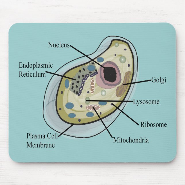 Mousepad T-shirt humanos da biologia celular (Frente)