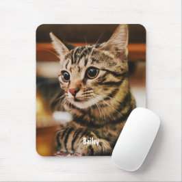 Mousepad Tabby American Shorthair Custom