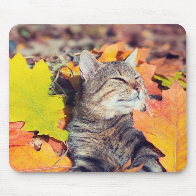 Mousepad Tabby Basking in the Foliage (Frente)