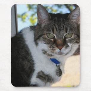 Mousepad Tabby Cat com Bonito proteção do mouse