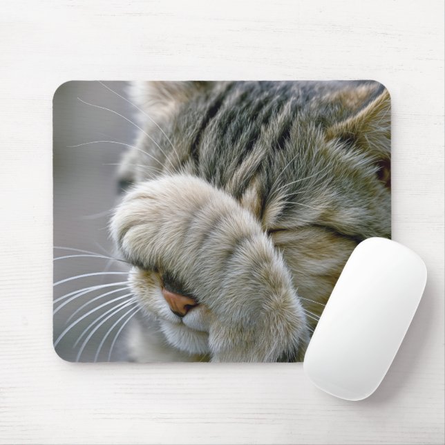Mousepad Tabby Cat Humor (Com mouse)