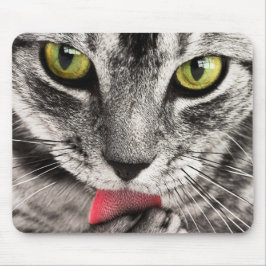 Mousepad Tabby Cat Licing Paw