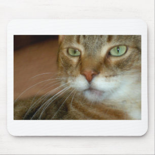 Mousepad Tabby Cat Love