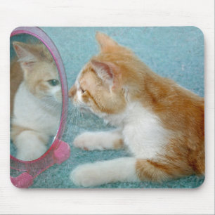 Mousepad Tabby cat olhando ao espelho