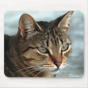 Mousepad Tabby impressionante Cat CloseUp Retrato Artístico