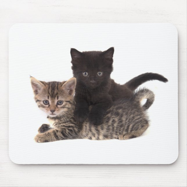 Mousepad tabby kitten black kitten (Frente)