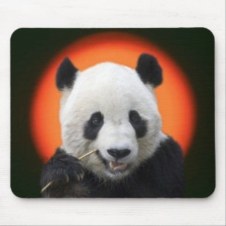 MOUSEPAD TAI SHAN