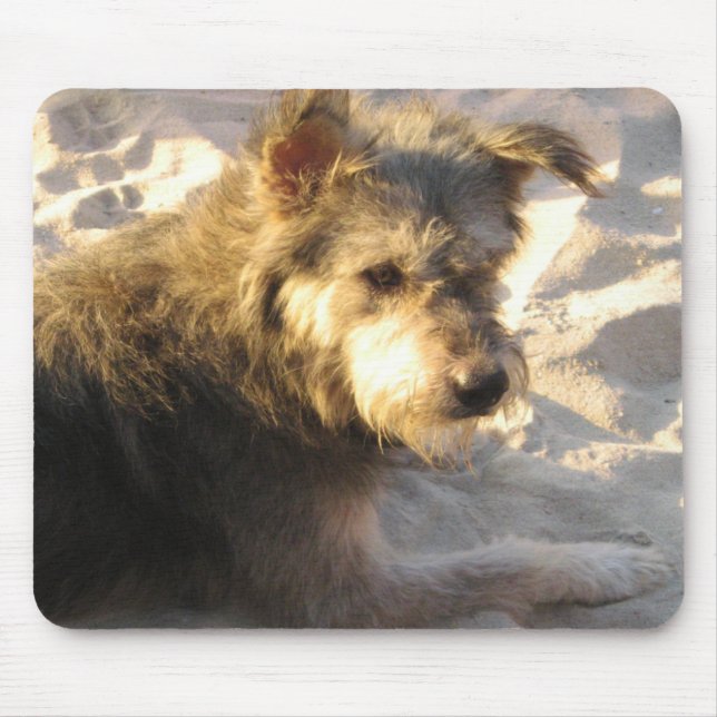Mousepad Tailandês Beach Dog (Frente)