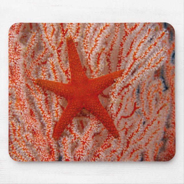 Mousepad Tailândia, Sea Star Aka Starfish (Frente)
