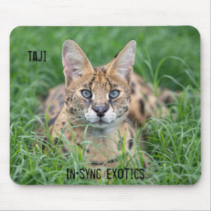 Mousepad Taji -