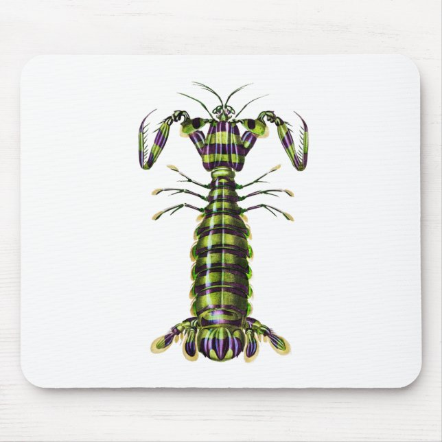 Mousepad Tamarutaca gigante (Frente)