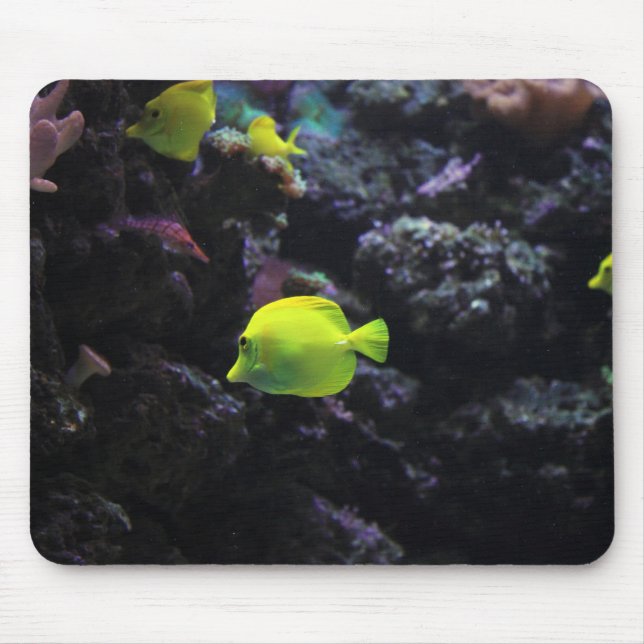 Mousepad tamboril, peixe, mar (Frente)