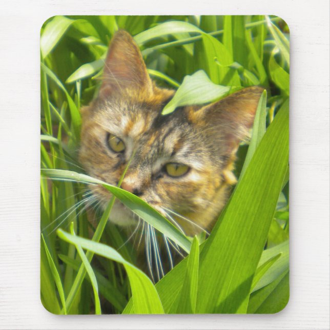 Mousepad Tampa do mouse do Gatinho precioso (Frente)
