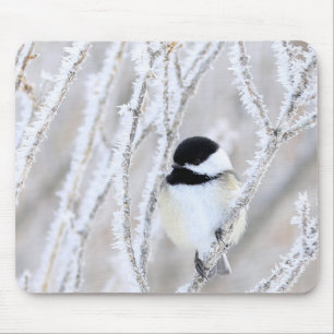 mousepad tampado preto do chickadee