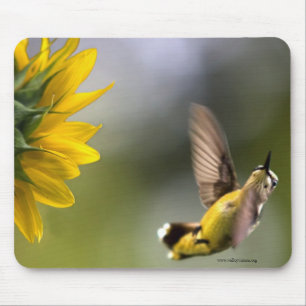 Mousepad Tampo de Mouse Beija-flor