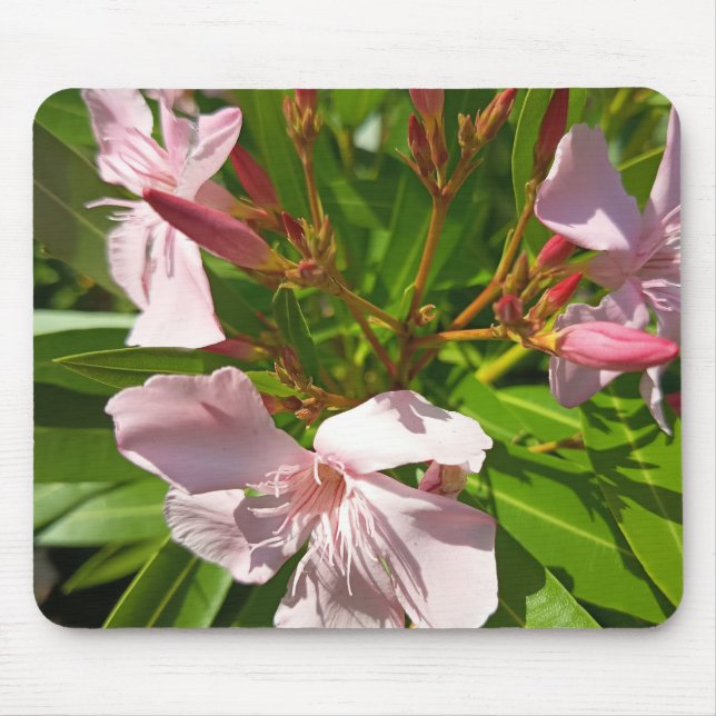 Mousepad Tampo de Mouse Flor de Oleandro Rosa Jardim Botâni (Frente)