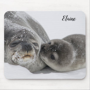 Mousepad Tampo de Mouse Personalizado de Foca Bebê Fofa e M