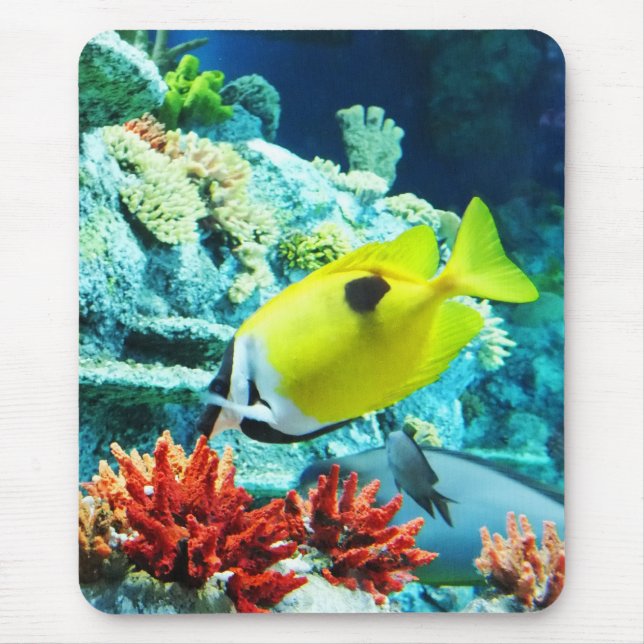 Mousepad Tang (Frente)