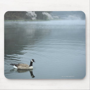 Mousepad Tanuki-ko, lago Tanuki