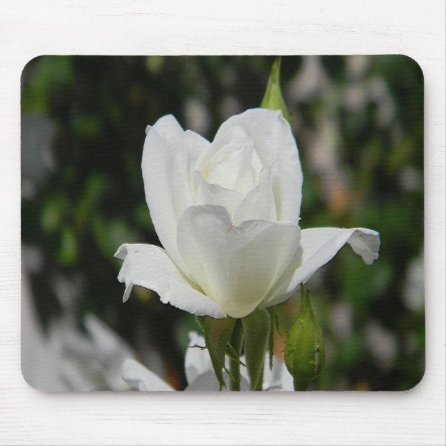 Mousepad Tão puro.... (Frente)