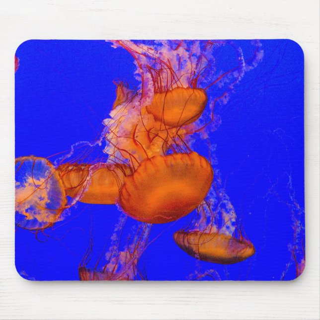 Mousepad Tapete de Mouse de Água-viva Laranja | Arte de Mes (Frente)