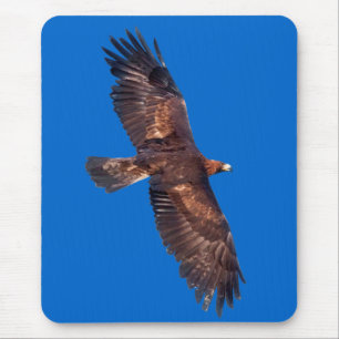 Mousepad Tapete de Rato Águia-real em Voo (Azul)