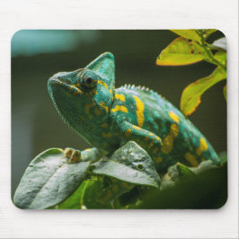 Mousepad Tapete de Rato Camaleão Verde