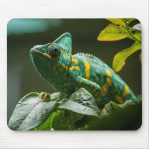 Mousepad Tapete de Rato Camaleão Verde