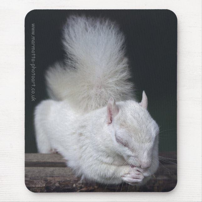 Mousepad Tapete de Rato da Oração do Nutty (Frente)