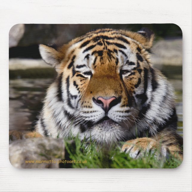 Mousepad Tapete de Rato do Tigre de Zambar (Frente)