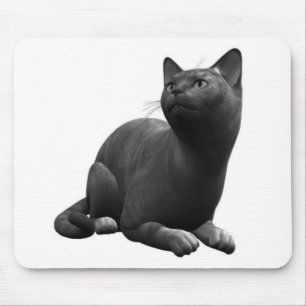 Mousepad Tapete de Rato Gato Preto Tranquilo